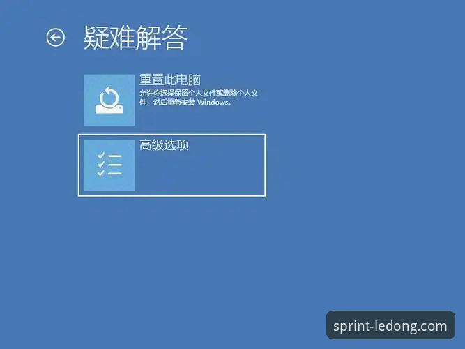 乐动体育LD官方平台功能详解与使用指南